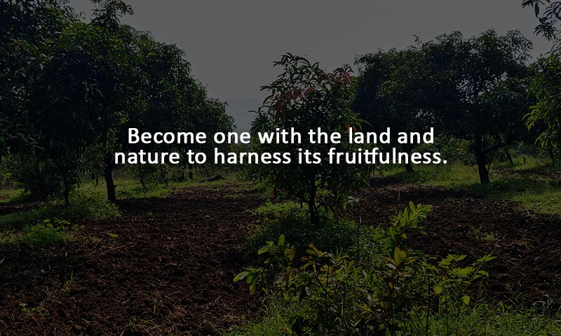 farming-1